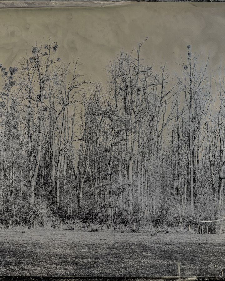 Collodion 01