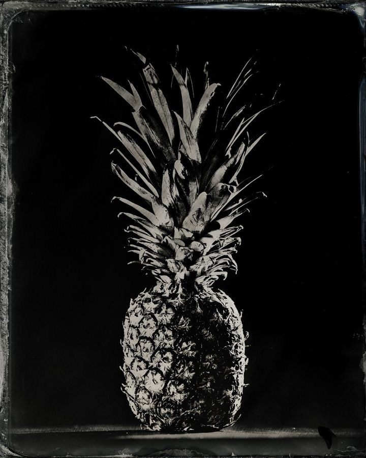 collodion