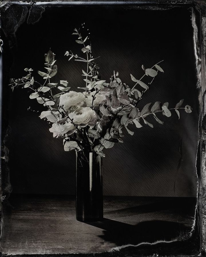 Collodion 03