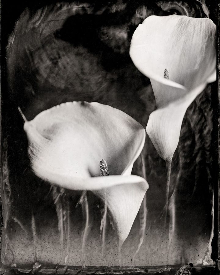 Collodion 04