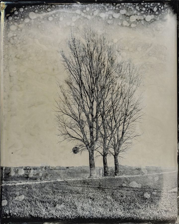 Collodion 11