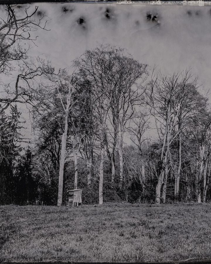 Collodion 12