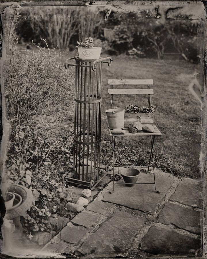 Collodion 15