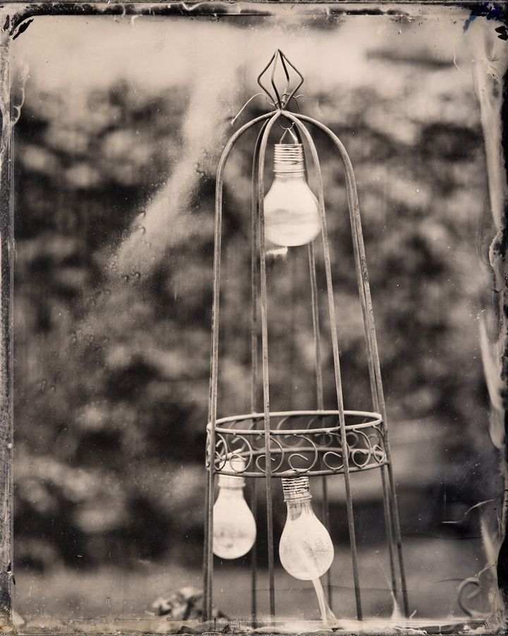 Collodion 16