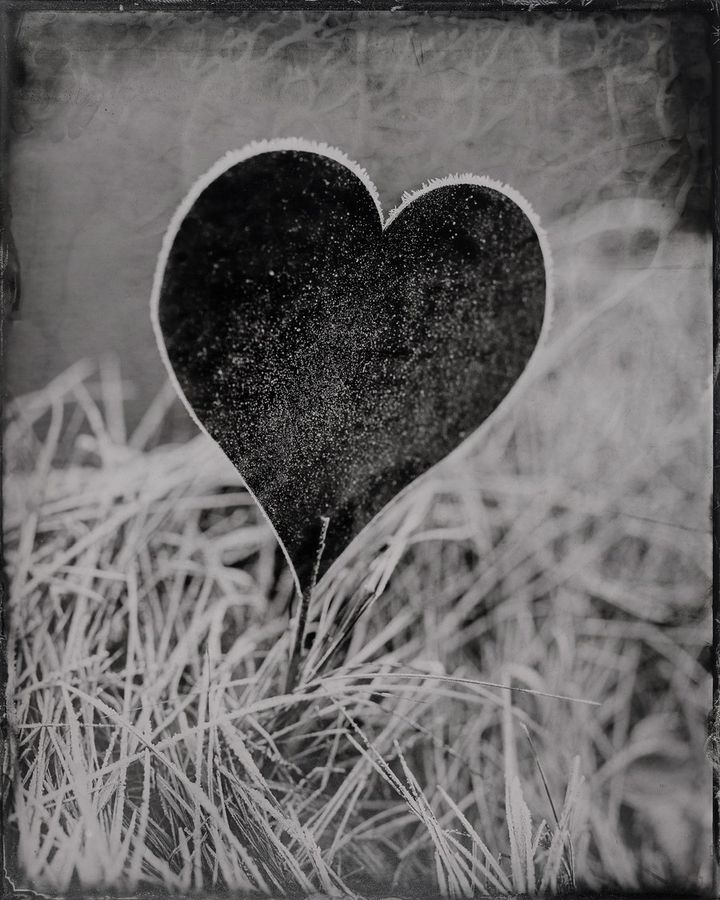 Collodion 17