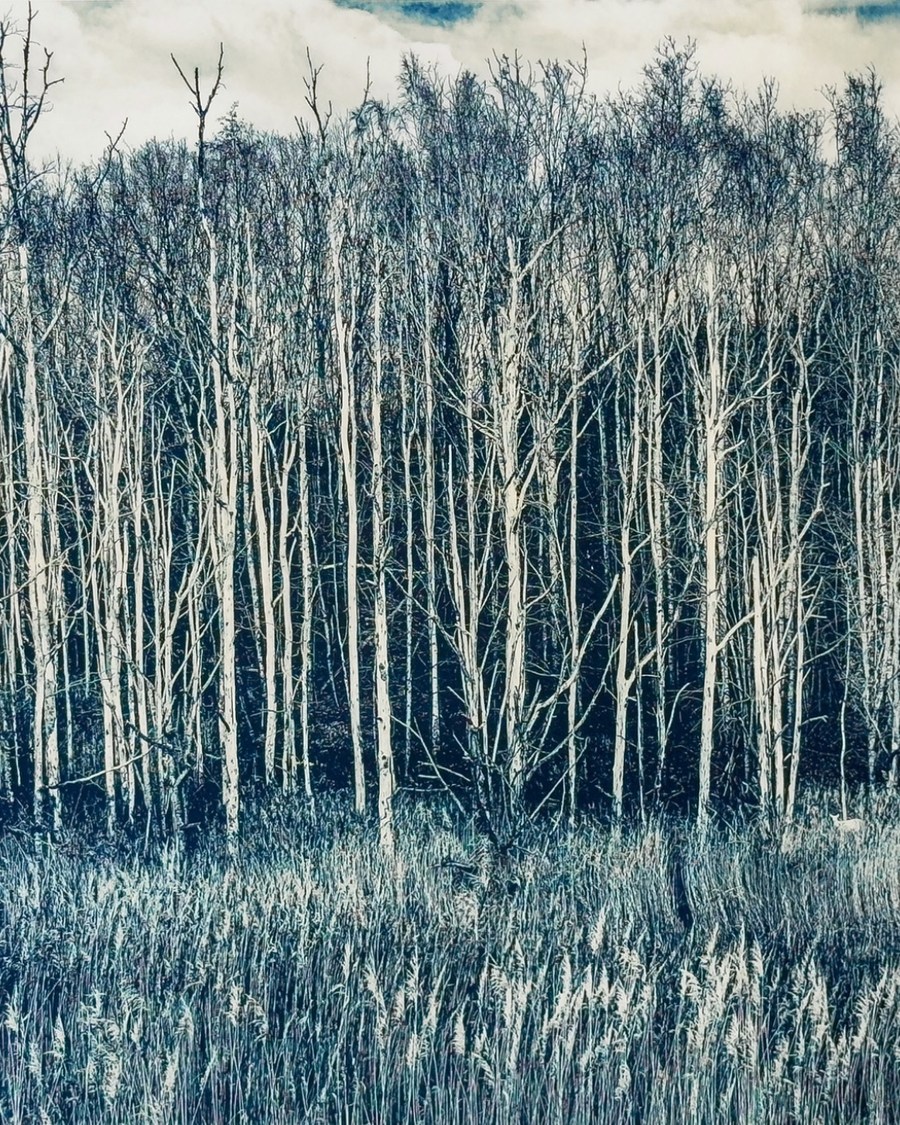 silent noise