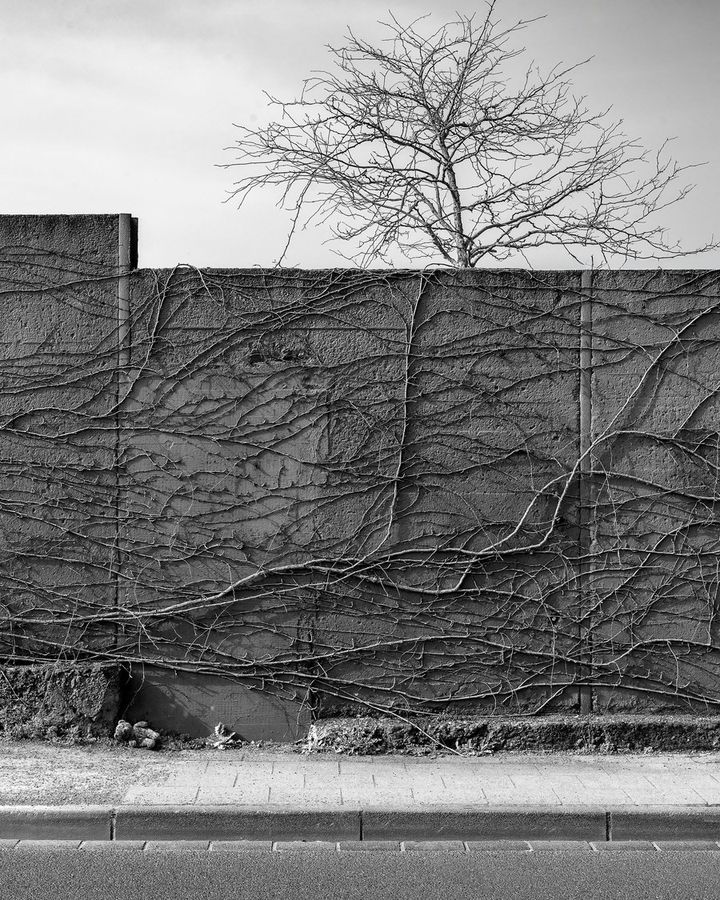 Walls 03
