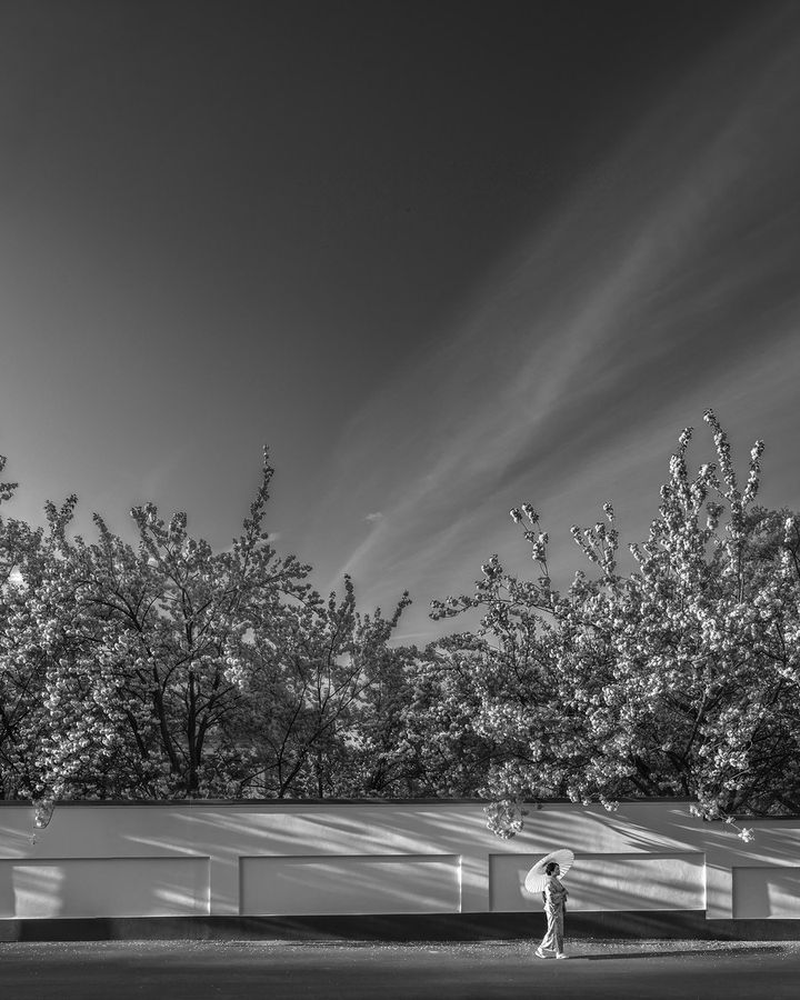 Walls 04